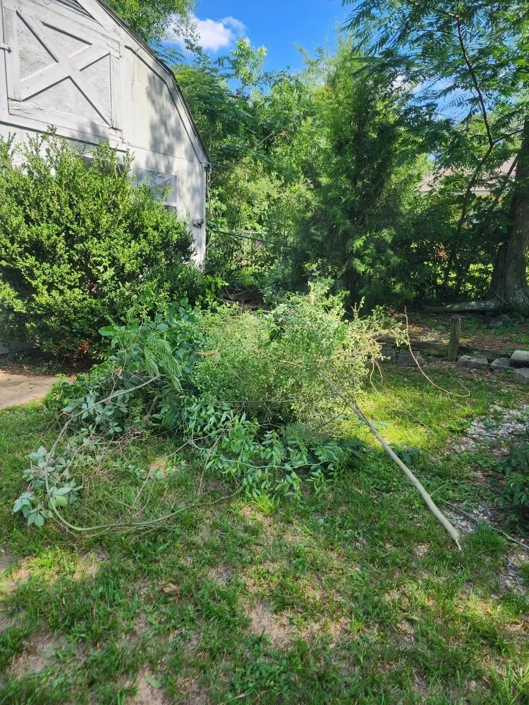 Local yard maintenance experts serving Enterprise, AL - Alabama Lawn Medic