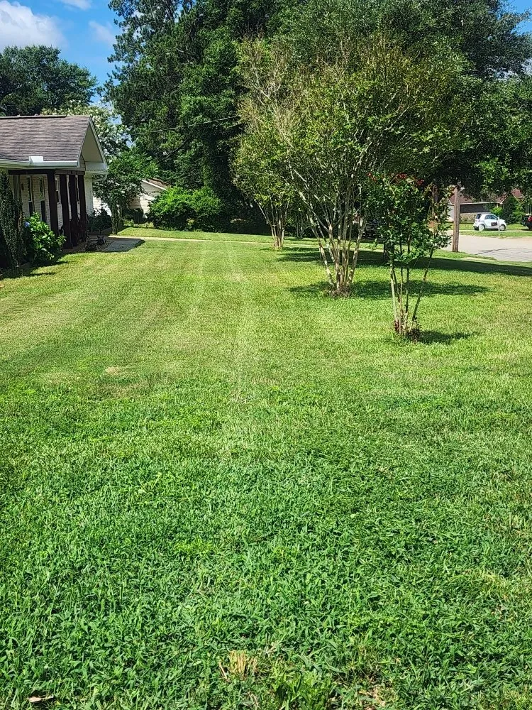 Reliable lawn care service in Enterprise, AL by Alabama Lawn Medic
