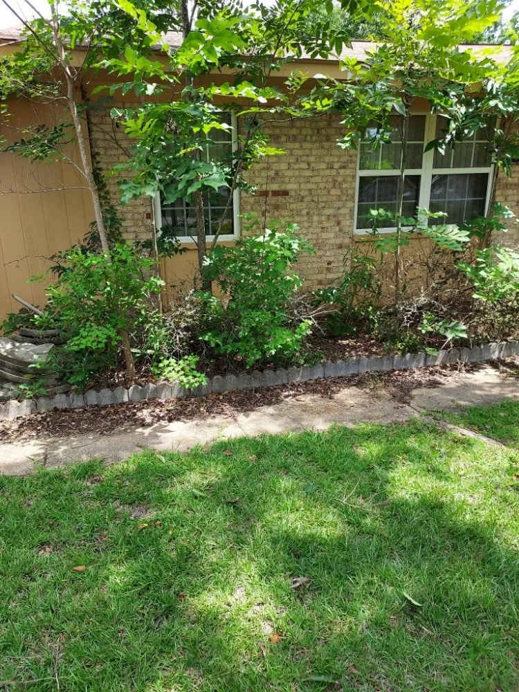 Local lawn care service in Enterprise, AL - Alabama Lawn Medic