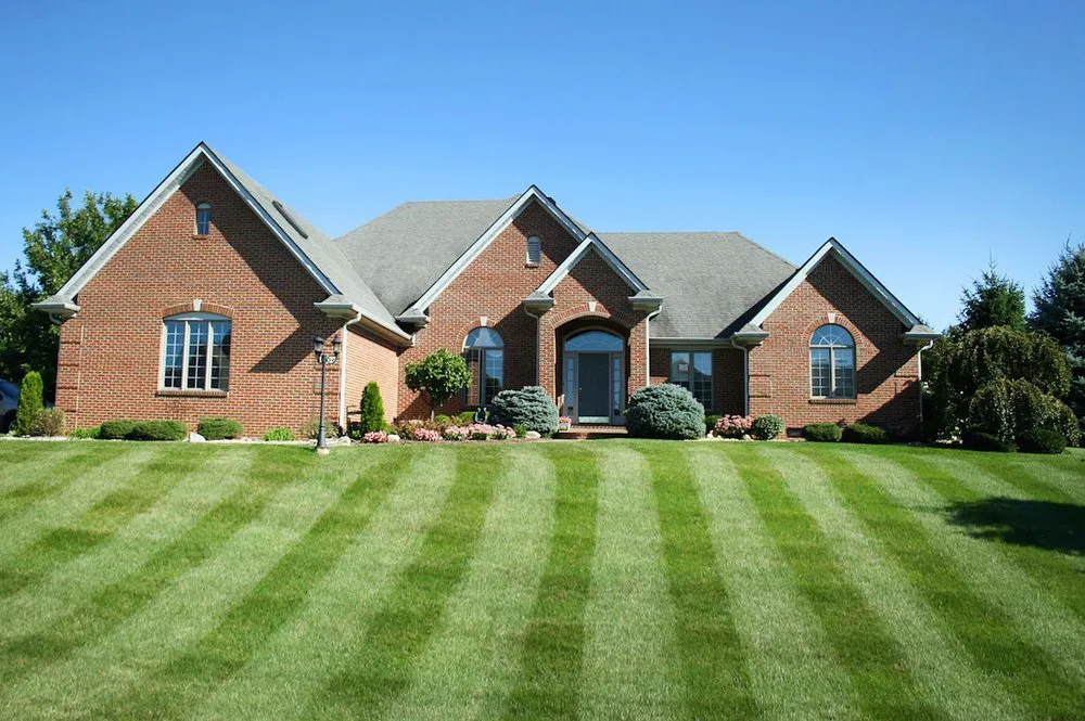 Reliable yard cleanup service for beautiful yards in Montgomery, AL by Alabama Lawns