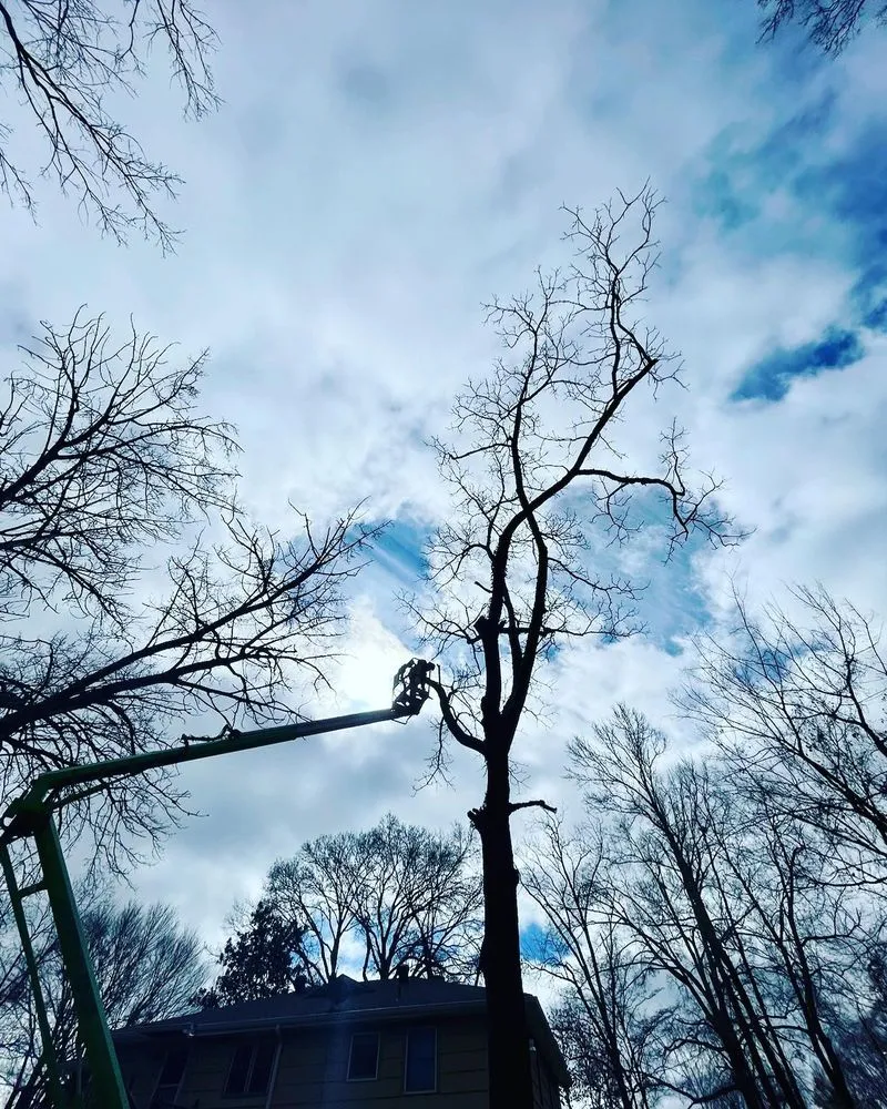 Professional residential landscaping in Chelsea, AL by Alabama Outdoor Professionals