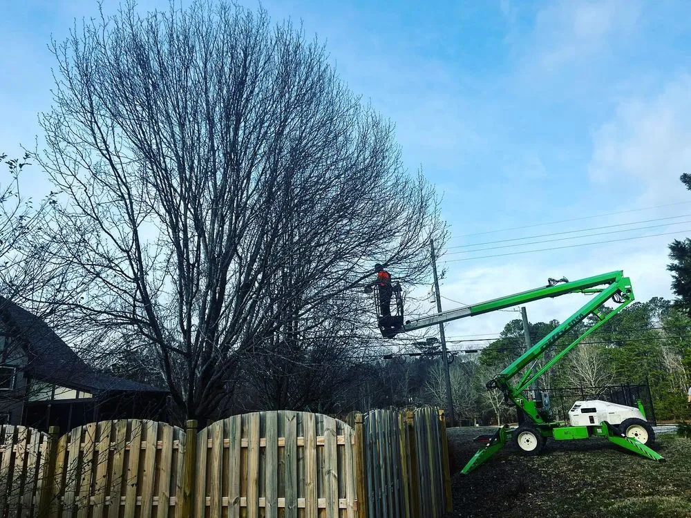 Affordable garden landscaping near you in Chelsea, AL by Alabama Outdoor Professionals