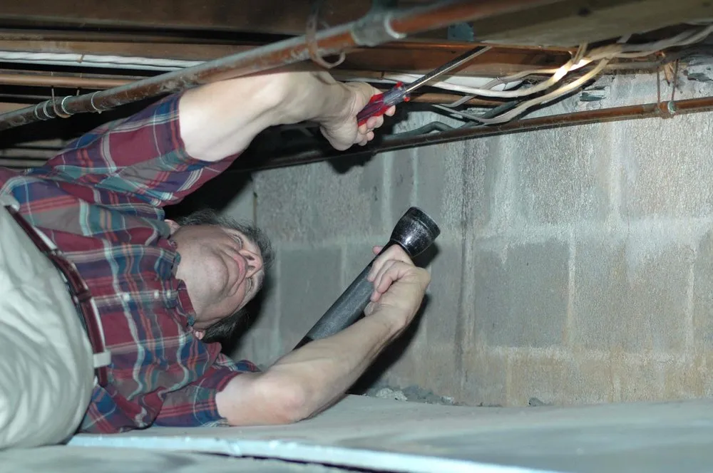 Top-rated yard maintenance in Irondale, AL by Alabama Professional Services