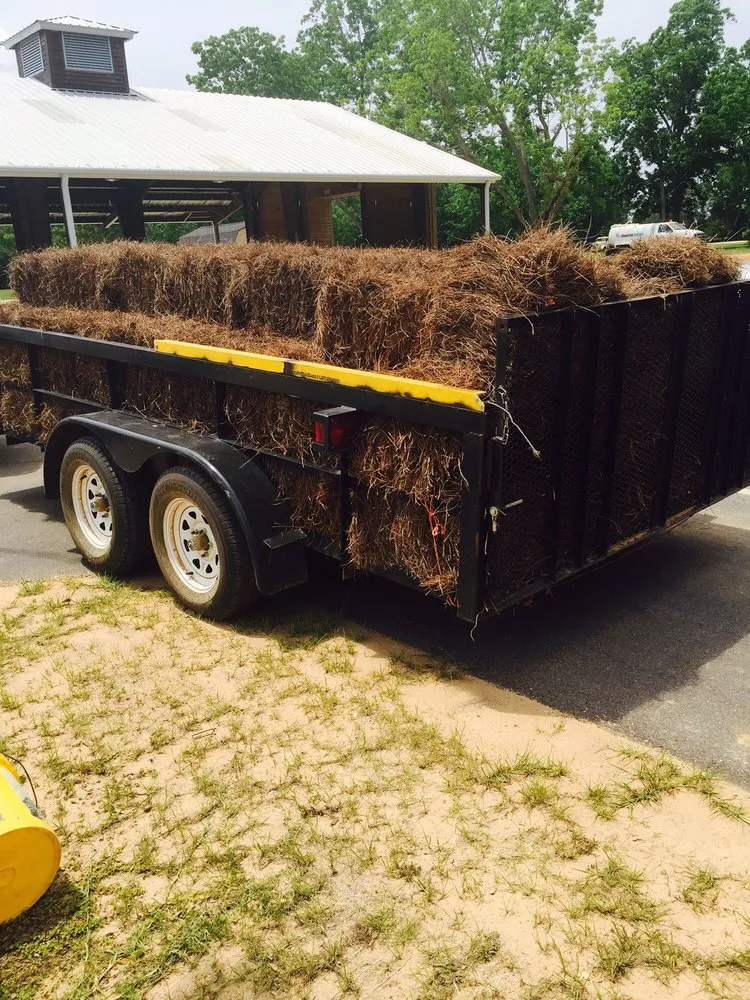 Expert yard maintenance in Foley, AL by Alabama Straw Company
