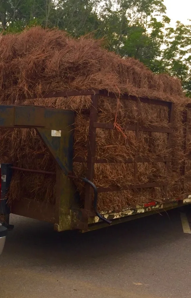 Professional residential landscaping in Foley, AL - Alabama Straw Company