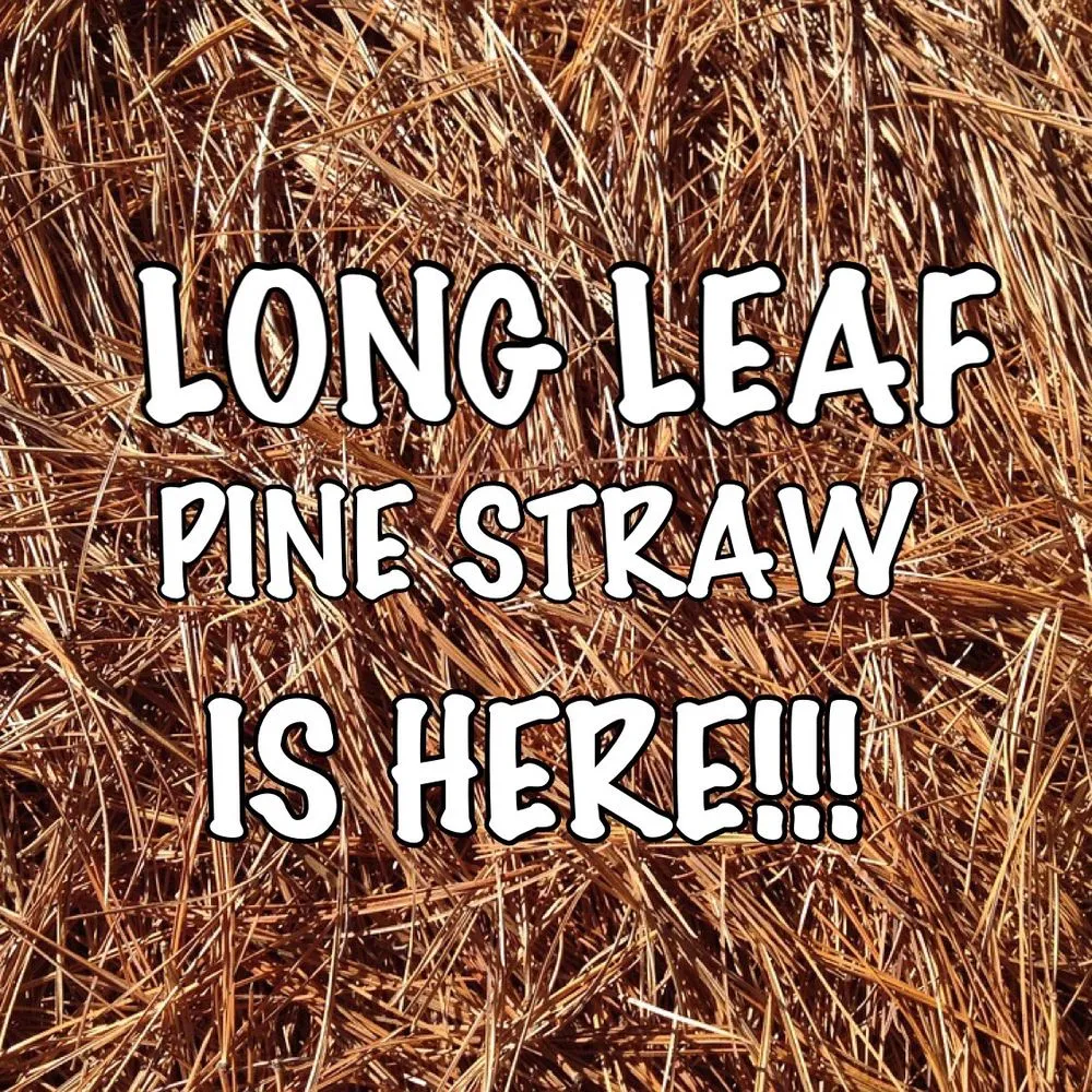 Professional residential landscaping in Foley, AL by Alabama Straw Company