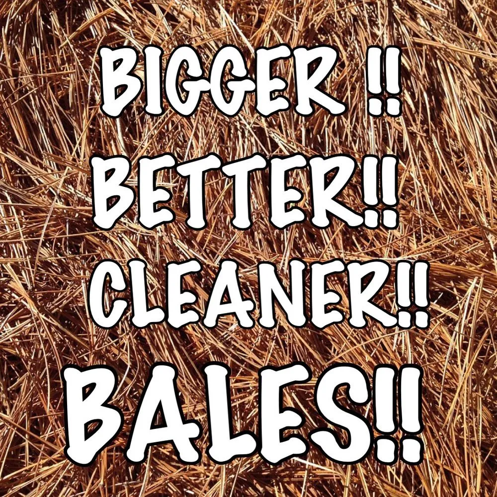 Affordable landscaping services in Foley, AL - Alabama Straw Company