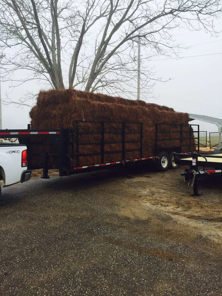 Local lawn care service experts serving Foley, AL - Alabama Straw Company