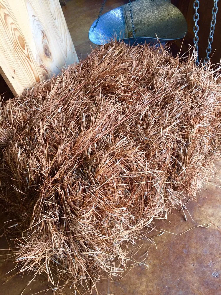 Expert yard cleanup service near you in Foley, AL by Alabama Straw Company