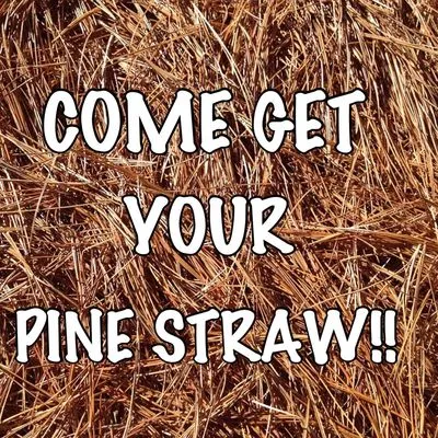 Alabama Straw Company Logo