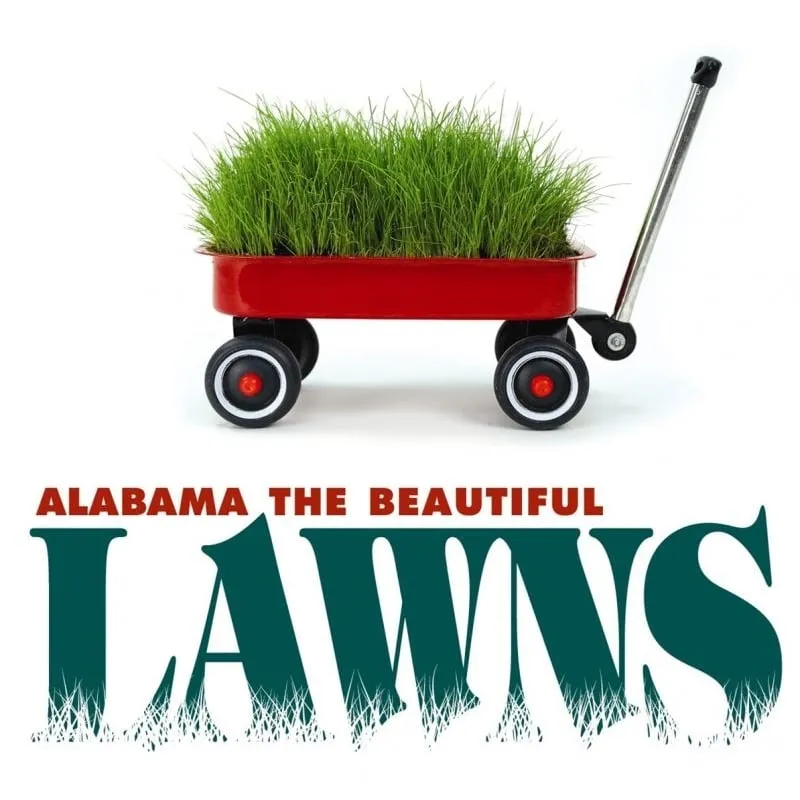 Professional yard cleanup service for outdoor upgrades in Birmingham, AL by Alabama The Beautiful Lawns