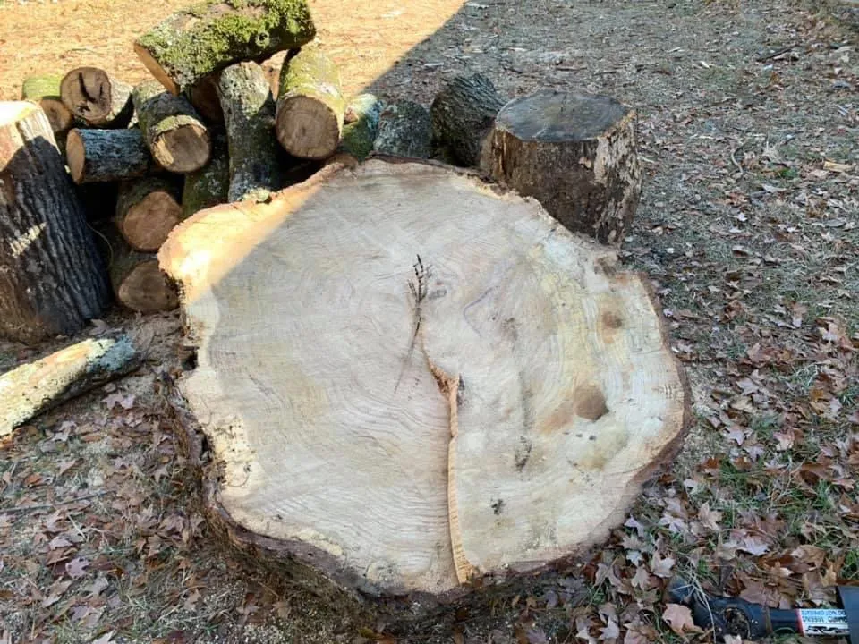 Reliable landscape design in Montevallo, AL - Alabama Tree And Land Care