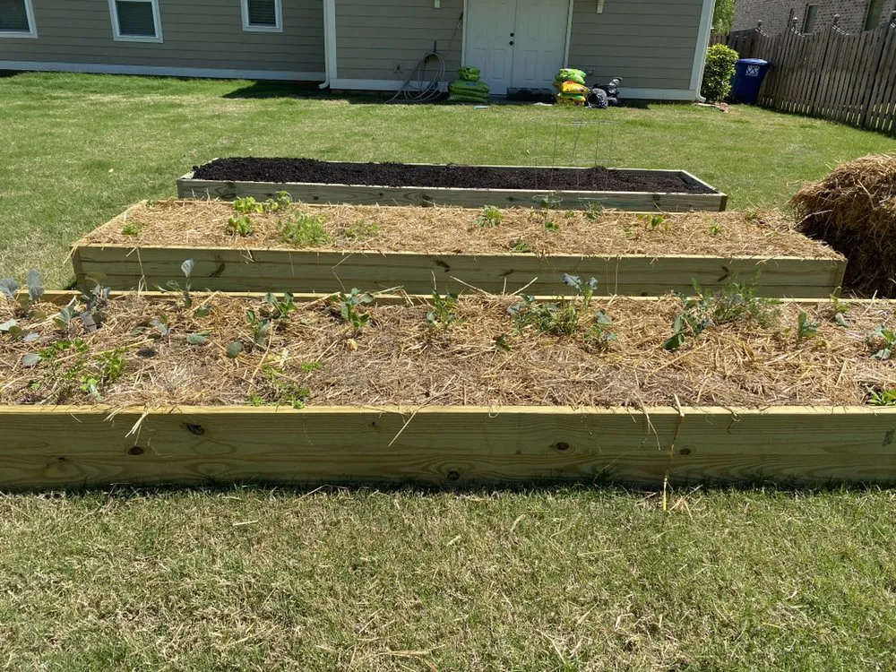 Local landscape design experts serving Montevallo, AL - Alabama Tree And Land Care