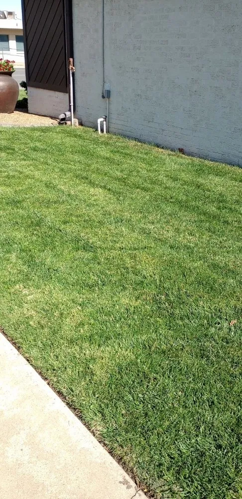 Custom lawn care service with custom design across Enid, OK - AlaCarte Mowing & More