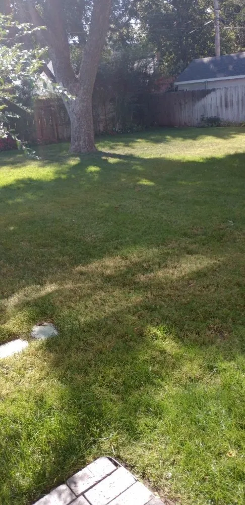 Trusted landscaping services for homes across Enid, OK - AlaCarte Mowing & More