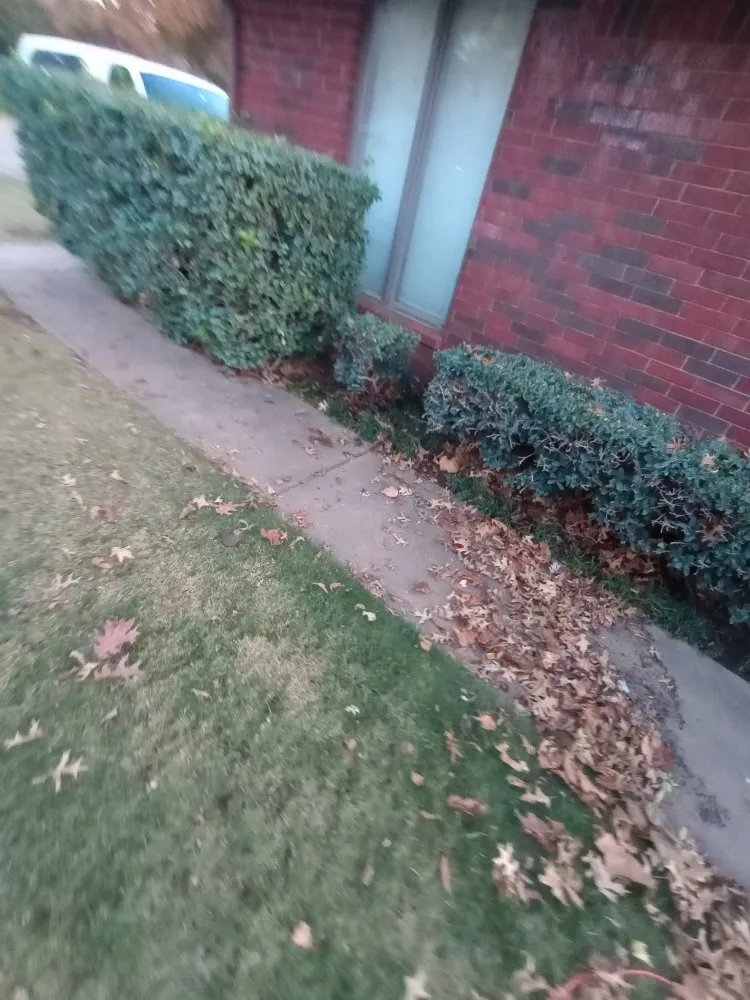 Local residential landscaping experts serving Enid, OK - AlaCarte Mowing & More