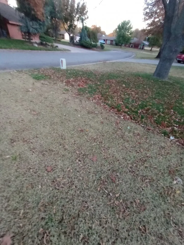 Professional lawn care service experts serving Enid, OK - AlaCarte Mowing & More