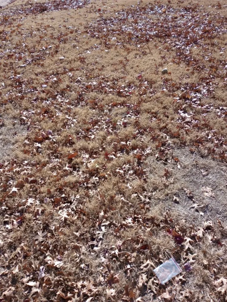 Trusted residential landscaping with custom design in Enid, OK by AlaCarte Mowing & More