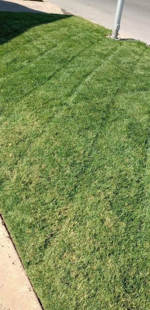 Reliable landscaping services for residential properties in Enid, OK by AlaCarte Mowing & More