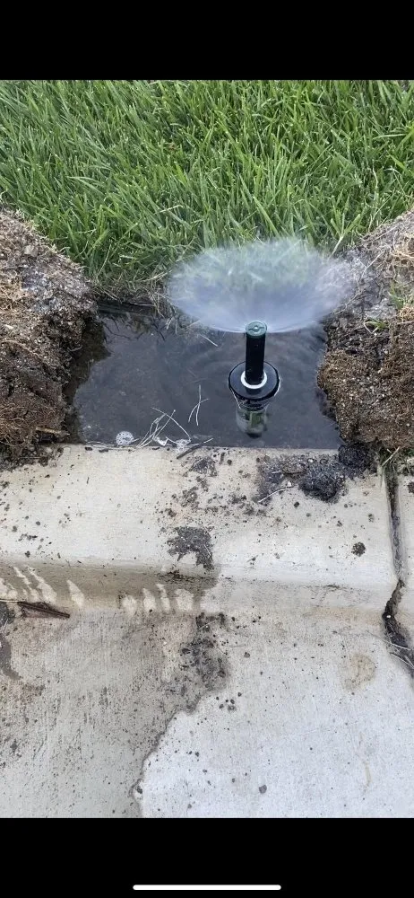 Affordable landscape design experts serving Fleming Island, FL - Aladdin Irrigation Repair