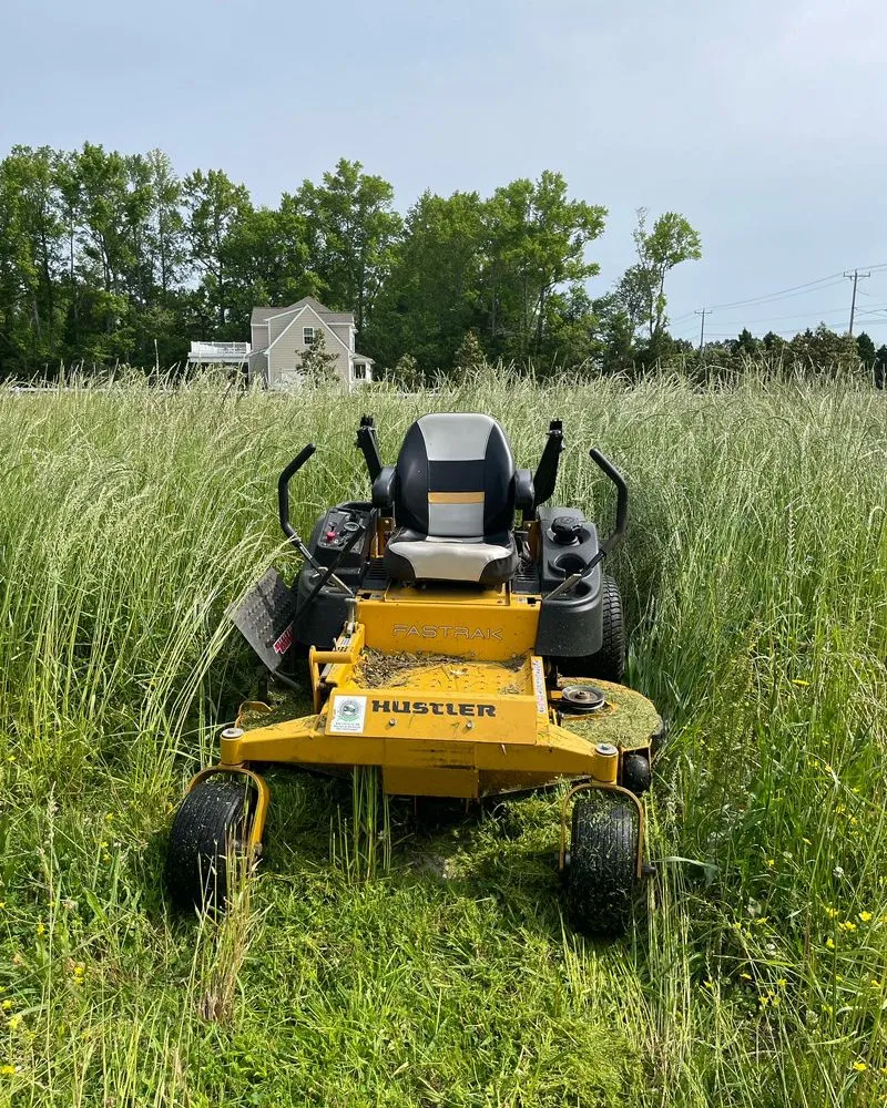 Top-rated yard cleanup service experts serving Chesapeake, VA - Alaina Lee lawncare