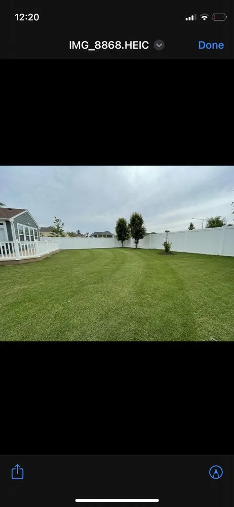 Reliable lawn mowing service for year-round maintenance across Chesapeake, VA - Alaina Lee lawncare