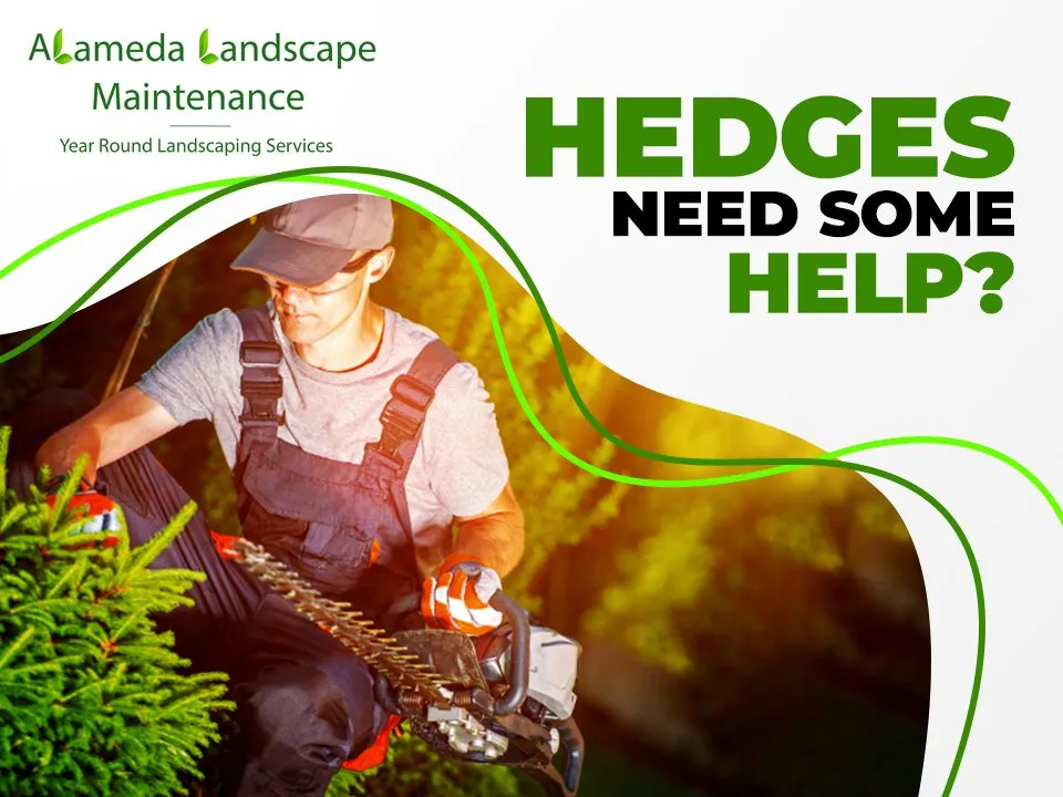 Custom lawn mowing service in Port Orchard, WA - Alameda Landscape Maintenance