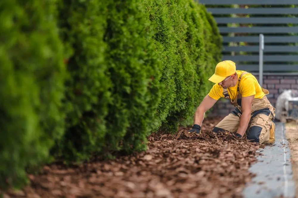 Professional yard maintenance near you across Port Orchard, WA - Alameda Landscape Maintenance