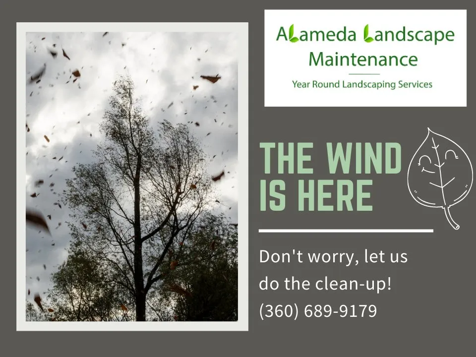 Affordable outdoor landscaping in Port Orchard, WA - Alameda Landscape Maintenance
