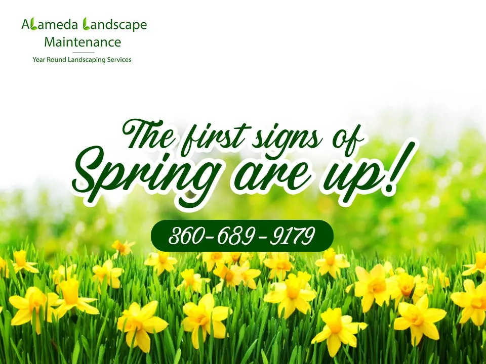 Trusted landscape installation in Port Orchard, WA by Alameda Landscape Maintenance