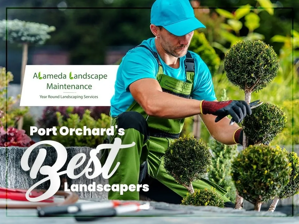 Expert outdoor landscaping with custom design across Port Orchard, WA - Alameda Landscape Maintenance