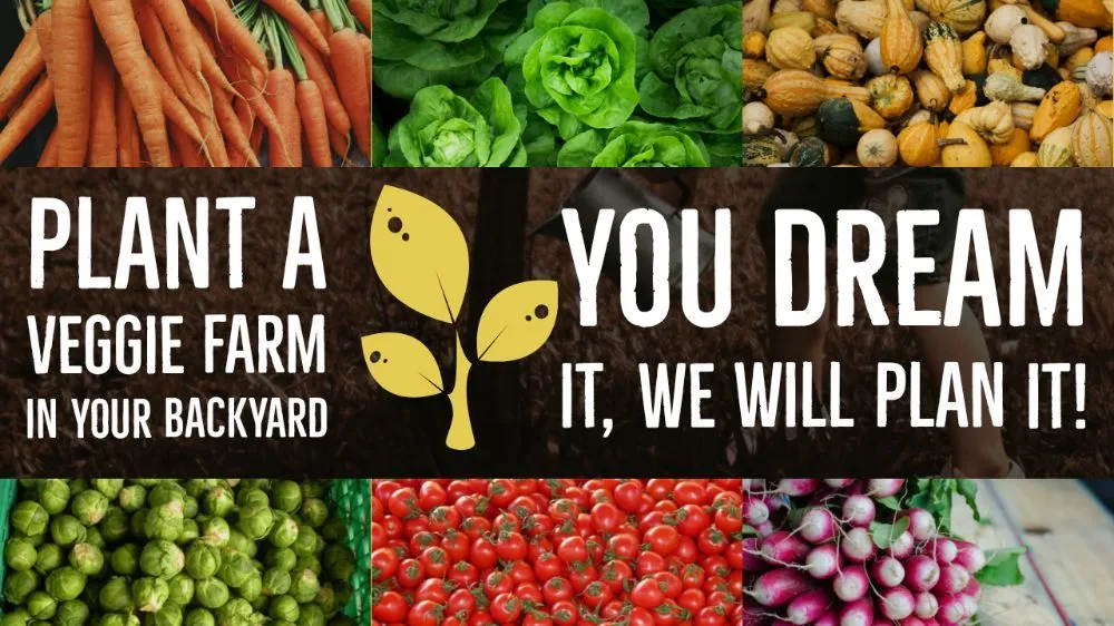 Professional garden landscaping in Port Orchard, WA by Alameda Landscape Maintenance