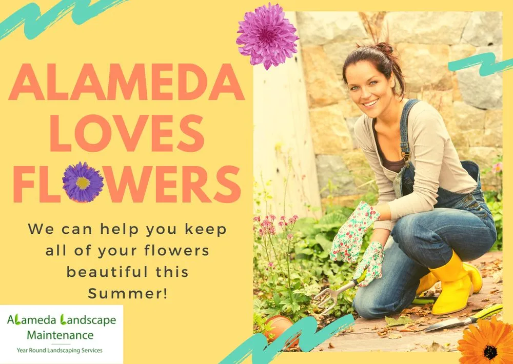 Custom lawn care service with custom design across Port Orchard, WA - Alameda Landscape Maintenance