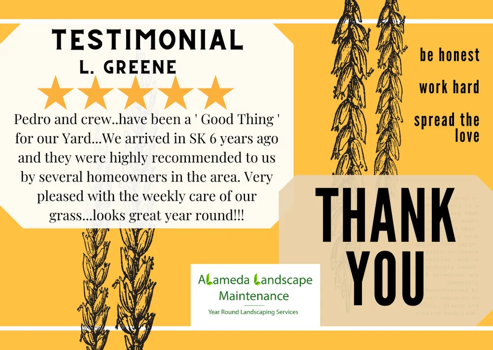 Professional residential landscaping in Port Orchard, WA by Alameda Landscape Maintenance