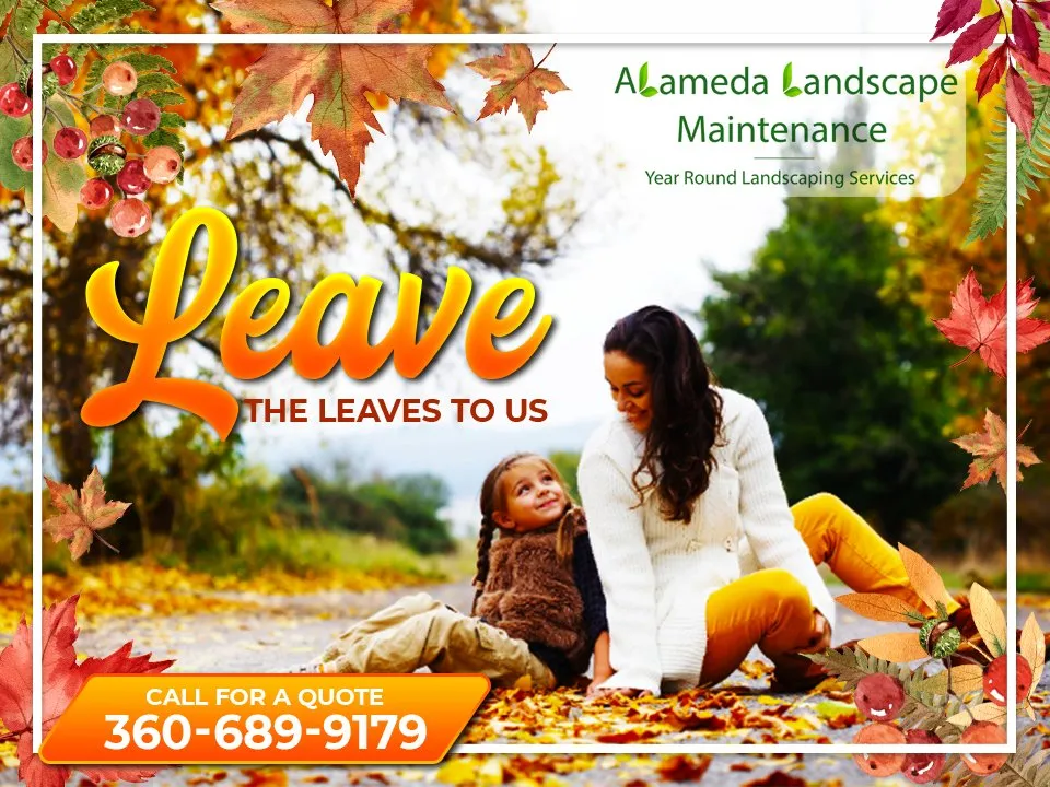 Trusted lawn care service in Port Orchard, WA - Alameda Landscape Maintenance
