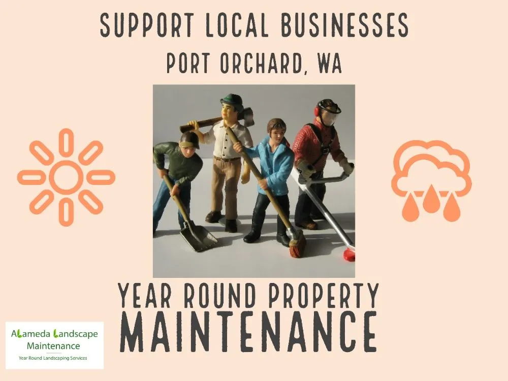 Professional yard maintenance experts serving Port Orchard, WA - Alameda Landscape Maintenance