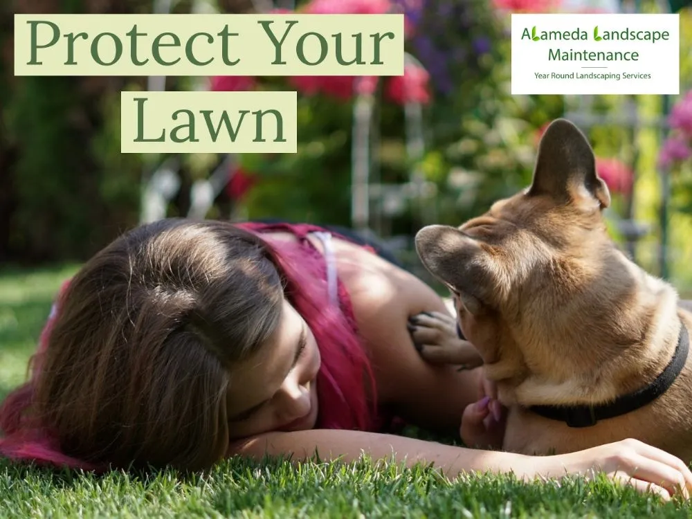 Reliable landscape installation in Port Orchard, WA - Alameda Landscape Maintenance