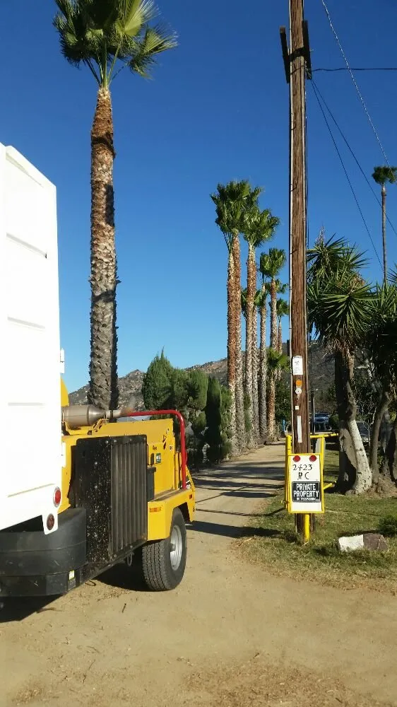 Expert outdoor landscaping for homes across Fallbrook, CA - Alameda Landscaping and Tree Service