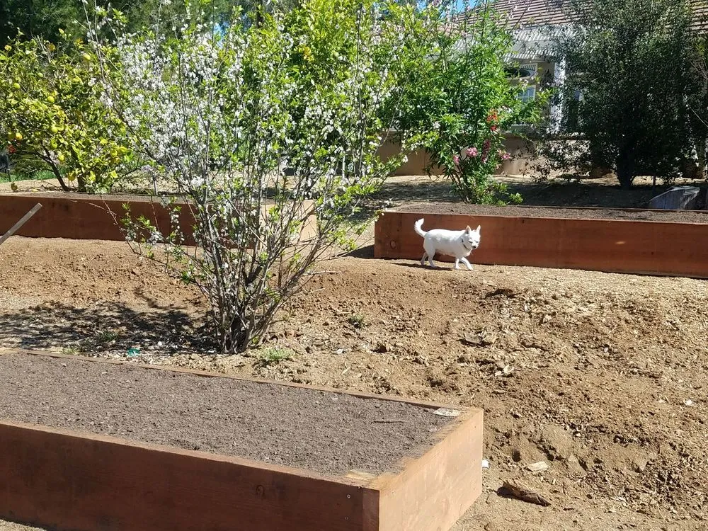 Affordable residential landscaping in Fallbrook, CA - Alameda Landscaping and Tree Service