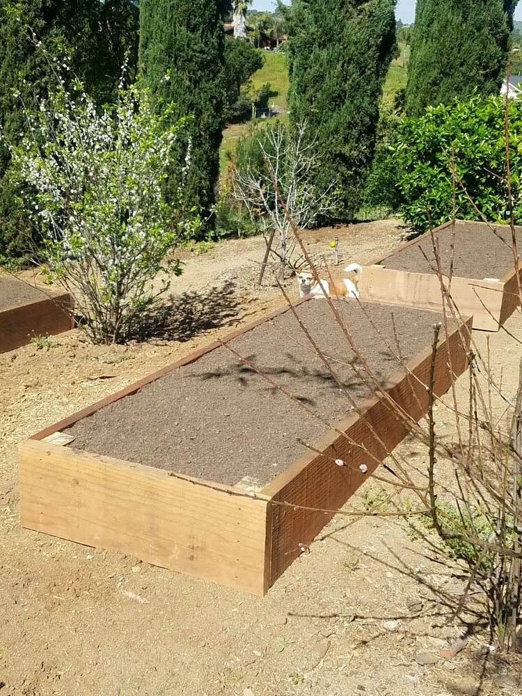 Trusted lawn mowing service in Fallbrook, CA - Alameda Landscaping and Tree Service