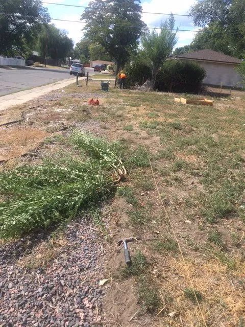 Expert yard cleanup service near you across Aurora, CO - Alameda Landscaping