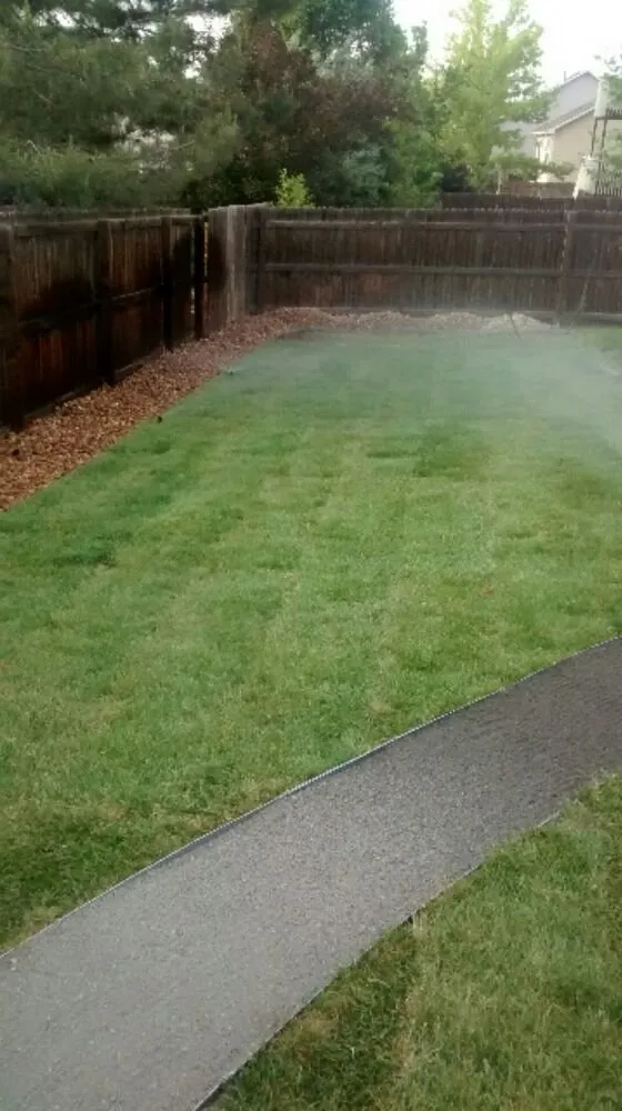 Top-rated yard cleanup service for residential properties across Aurora, CO - Alameda Landscaping