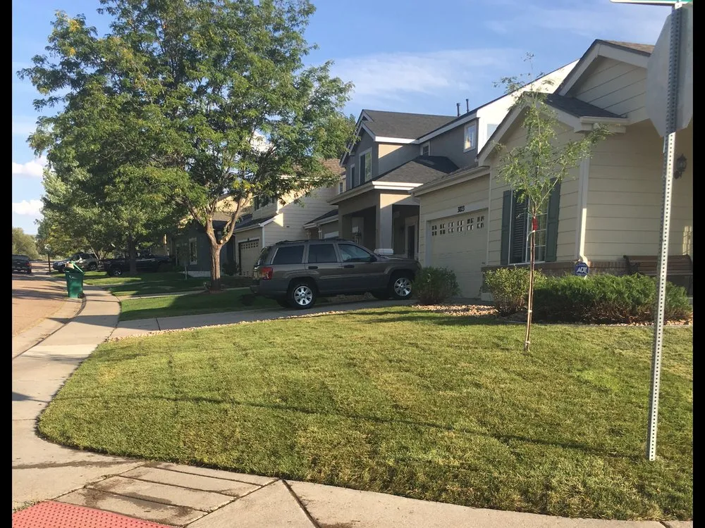 Top-rated landscaping services in Aurora, CO by Alameda Landscaping