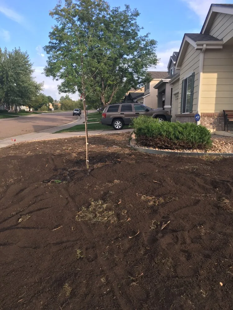 Trusted lawn mowing service for beautiful yards in Aurora, CO by Alameda Landscaping