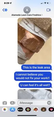 Alameda Landscaping Logo