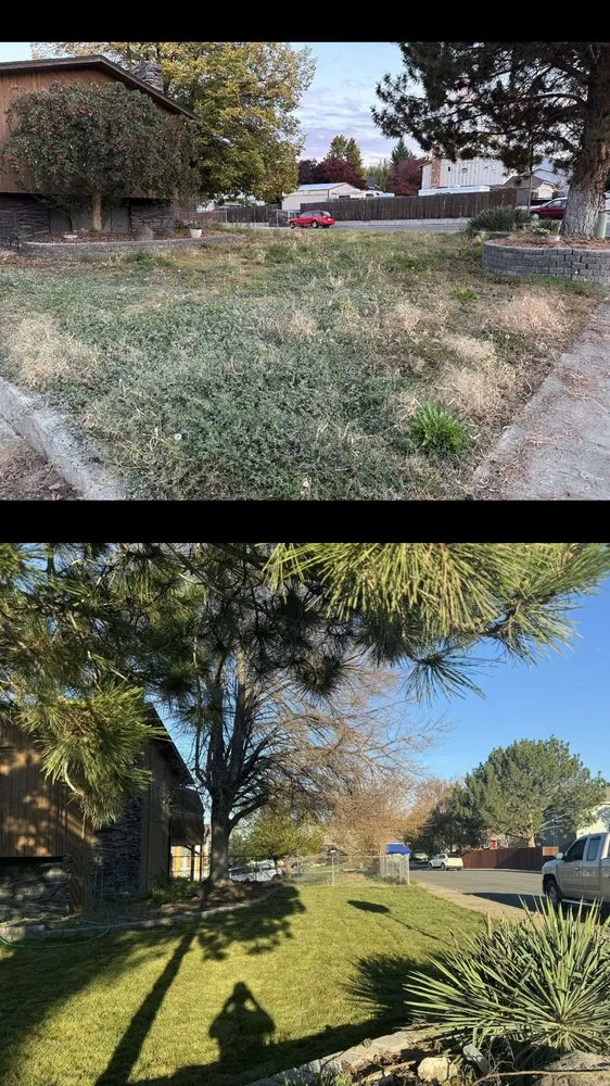 Trusted landscape installation in Pasco, WA - Alameer Landscpaing