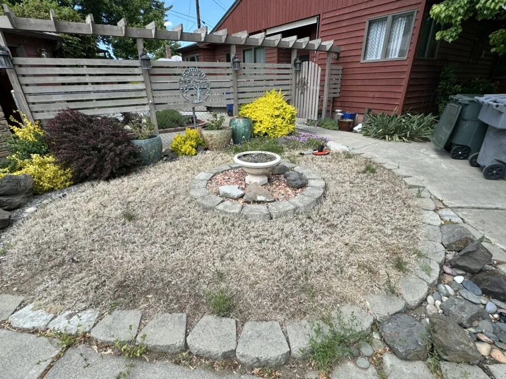 Trusted lawn mowing service in Pasco, WA - Alameer Landscpaing