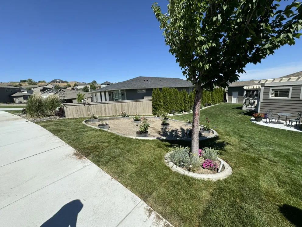 Professional lawn mowing service in Pasco, WA by Alameer Landscpaing