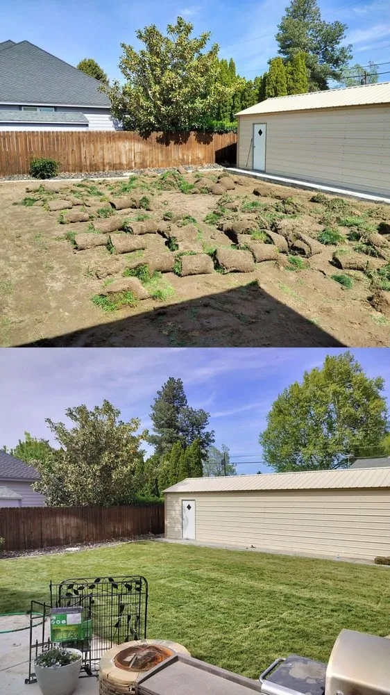 Expert lawn care service in Pasco, WA - Alameer Landscpaing