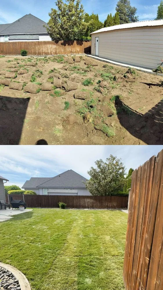 Trusted yard cleanup service in Pasco, WA - Alameer Landscpaing